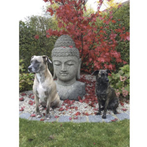 Buddha Büste im Herbst Garten