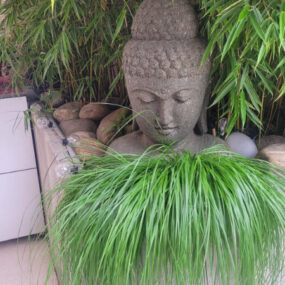 Buddha Kopf Büste Lavastein